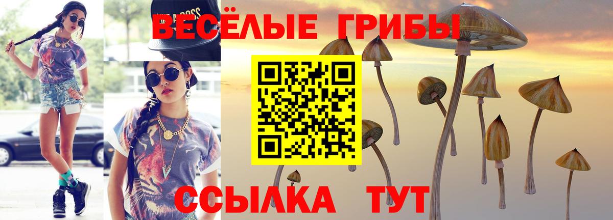 Павловский Посад  Псилоцибиновые грибы Cubensis  Псилоцибиновые грибы прущие грибы  Вход с VPN 